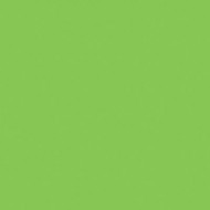 Λάϊμ Χρώμα Πάστας - PME 25γρ.