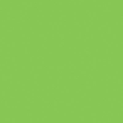 Λάϊμ Χρώμα Πάστας - PME 25γρ.