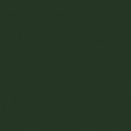 Χακί Πράσινο Χρώμα Πάστας - PME 25γρ.