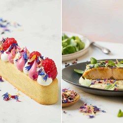 Βρώσιμα Λουλούδια - Χρώματα του καλοκαιριού