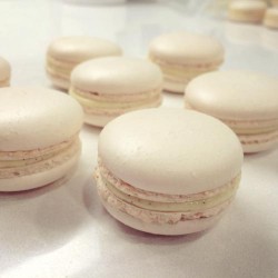 Μίγμα Μακαρόν Λευκό - 500γρ.