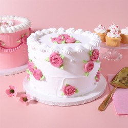 ΔΙΣΚΟΣ 12mm ΣΤΡΟΓΓΥΛΟΣ ΛΕΥΚΟΣ 25 - 30 - 35cm