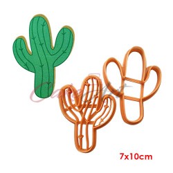 Κάκτος 2 Τεμ. 3D Κουπάτ 10εκ x7 εκ. 