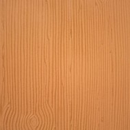 Φλοιός Δέντρου 15x30.5cm - Καλούπι αποτύπωσης της PME