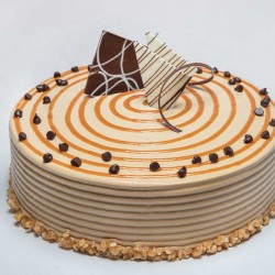 Ηλεκτρική Επαγγελματική Περιστρεφόμενη Βάση Εργασίας για Τούρτες 28 εκ. 