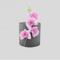 Ορχιδέα Σετ 3 Κουπάτ της FMM - (Moth Orchid Cutter)