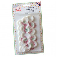 Νεραγκούλα (Ranunculus) κουπάτ της FMM