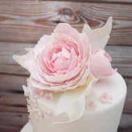 Παιωνία κουπάτ Λουλούδι με φύλλο της FMM