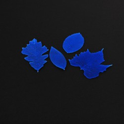 Αποτύπωμα Αποξηραμένα Φύλλα της FMM 