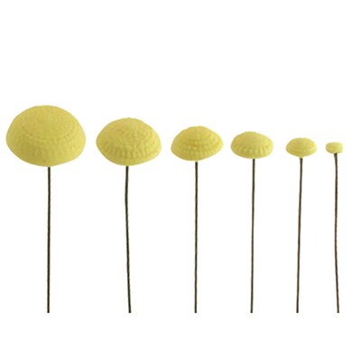 Σετ Αποτύπωσης κέντρων Μαργαρίτας 6 τεμ. της PME