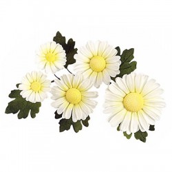 Σετ Αποτύπωσης κέντρων Μαργαρίτας 6 τεμ. της PME