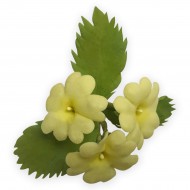 Hράνθεμο Σετ 2 κουπάτ της FMM