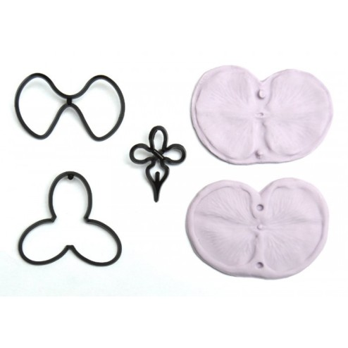 Κουπάτ Μεγάλη Ορχιδέα (Moth Orchid)