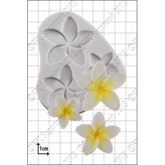 Λουλούδι Πλουμιστό - Καλούπι Σιλικόνης της FPC