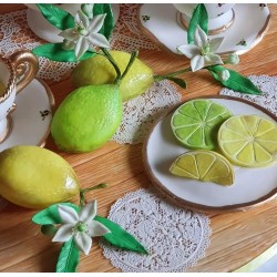 Εσπεριδοειδείς - Καλούπι Σιλικόνης - της Katy Sue