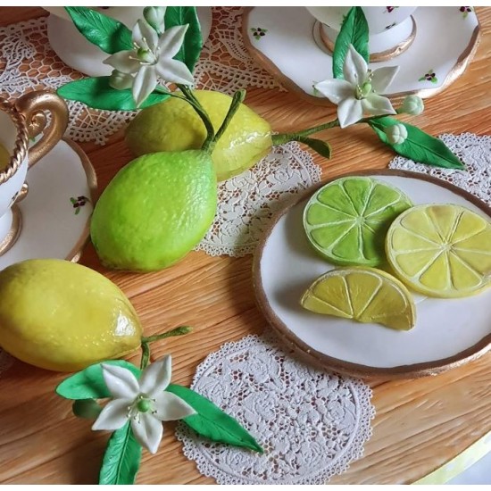 Εσπεριδοειδείς - Καλούπι Σιλικόνης - της Katy Sue