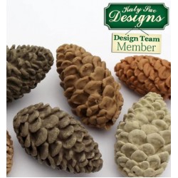 Κουκουνάρια - Καλούπι Σιλικόνης της Katy Sue 