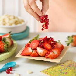 Μικρό Tετράγωνο Πιάτο - Επαγγελματικό Καλούπι Sοκολάτας 2 θέσεων 