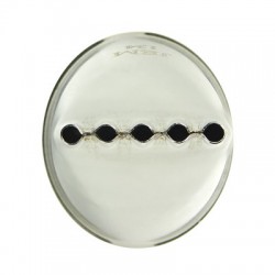 PME Μύτη Κορνέ - 5 στρογγυλεμένων γραμμών ή κουκκίδων ταυτόχρονα NZ134