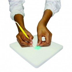 PME Επιφάνεια Εργασίας Αφρού για Λουλούδια