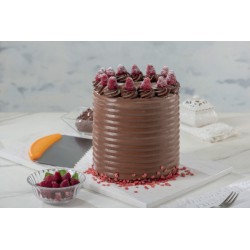 Ξύστρα -Scraper - με Κυματοειδές Λεπίδα, 22,5εκ. -Decora