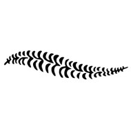 Φτέρη Σετ 3 Στένσιλ της PME