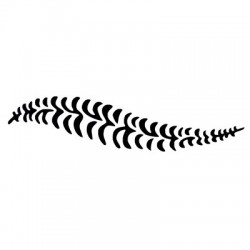 Φτέρη Σετ 3 Στένσιλ της PME