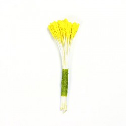 Κίτρινοι Στήμονες LILY μεγάλο μέγεθος για βρώσιμα λουλούδια 50τεμ. - PME