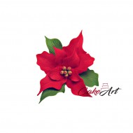 Ποινσέτια Ζύμης Κόκκινο 11εκ.