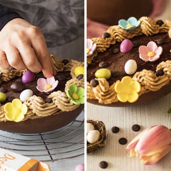 Ποικιλία μεγάλων λουλουδιών ζάχαρης - 6 Τεμ.