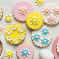 Μαργαρίτες  ζάχαρης Ροζ - 6 Τεμ. 