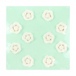 Λευκά Τριαντάφυλλα Ζάχαρης 2,5εκ. - 10Τεμ.