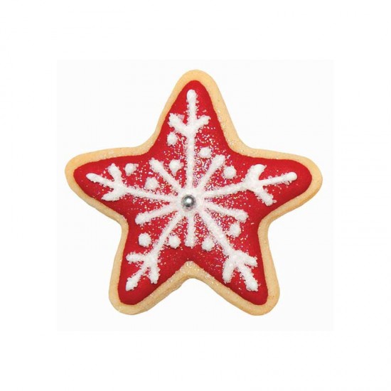 Αστέρια σετ 2 μεταλλικών κουπάτ για μπισκότα της PME